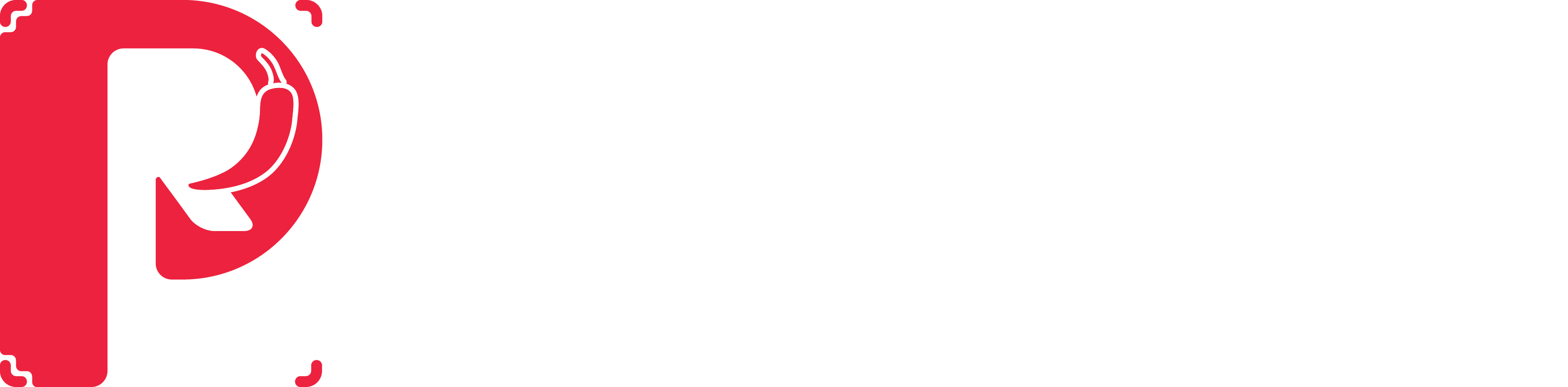 Paoreel Studios Logo